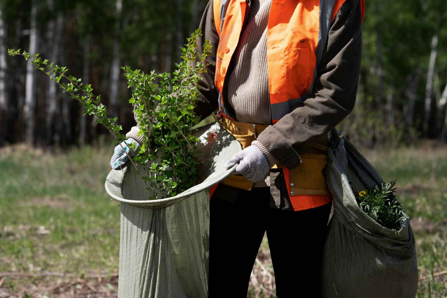 Best Best Tree Removal Services  in Leisure City, FL